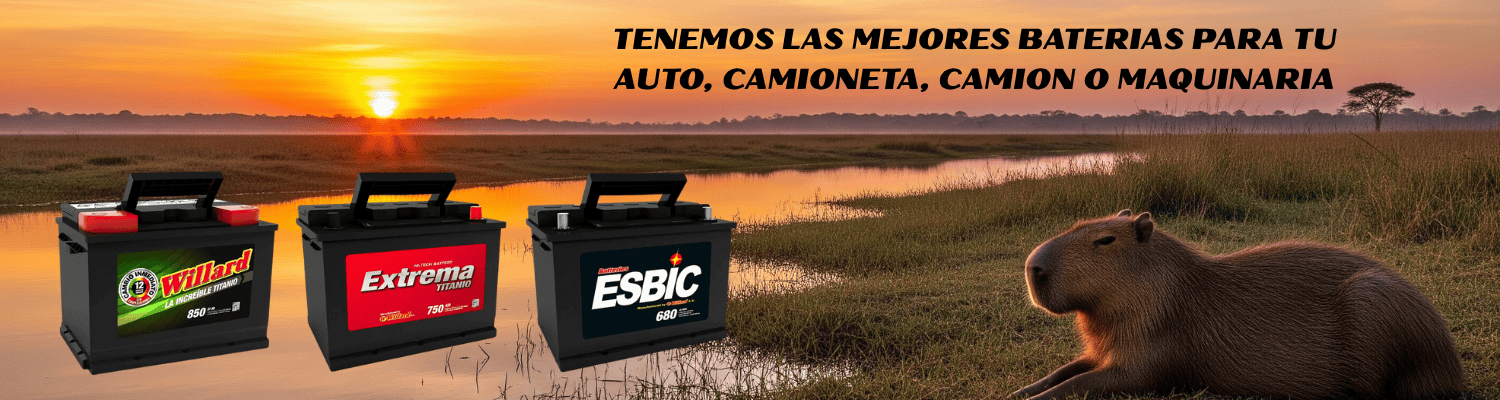BATERIAS WILLARD